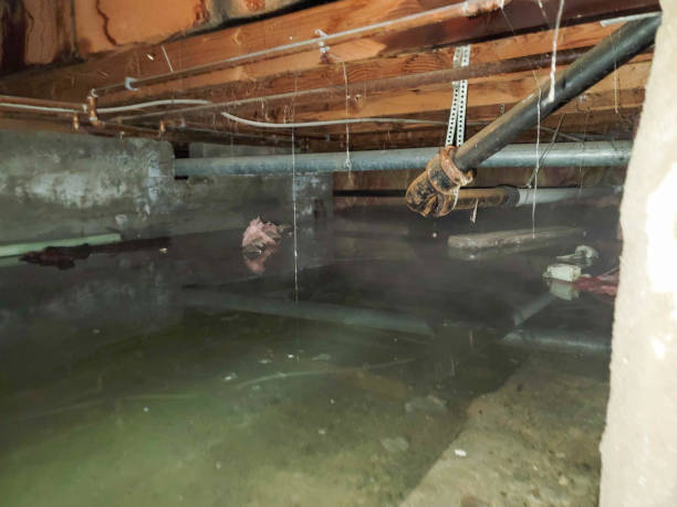 Best Fire Damage Restoration  in North Tonawanda, NY