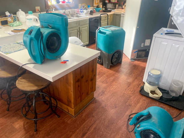 Best Mold removal after water damage  in North Tonawanda, NY