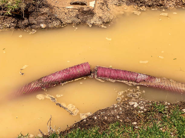 Best Water damage mitigation services  in North Tonawanda, NY