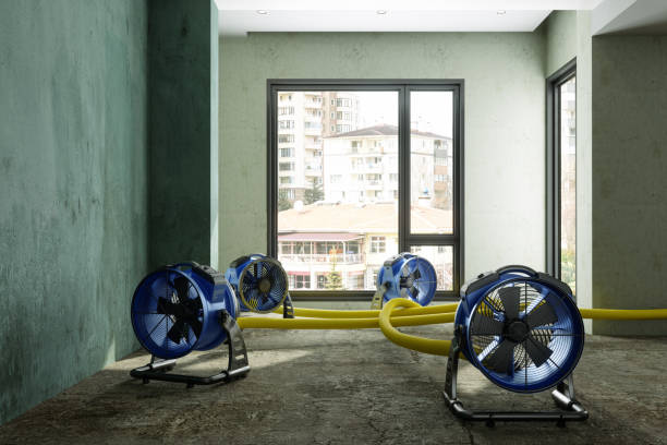 Best Water damage restoration near me  in North Tonawanda, NY